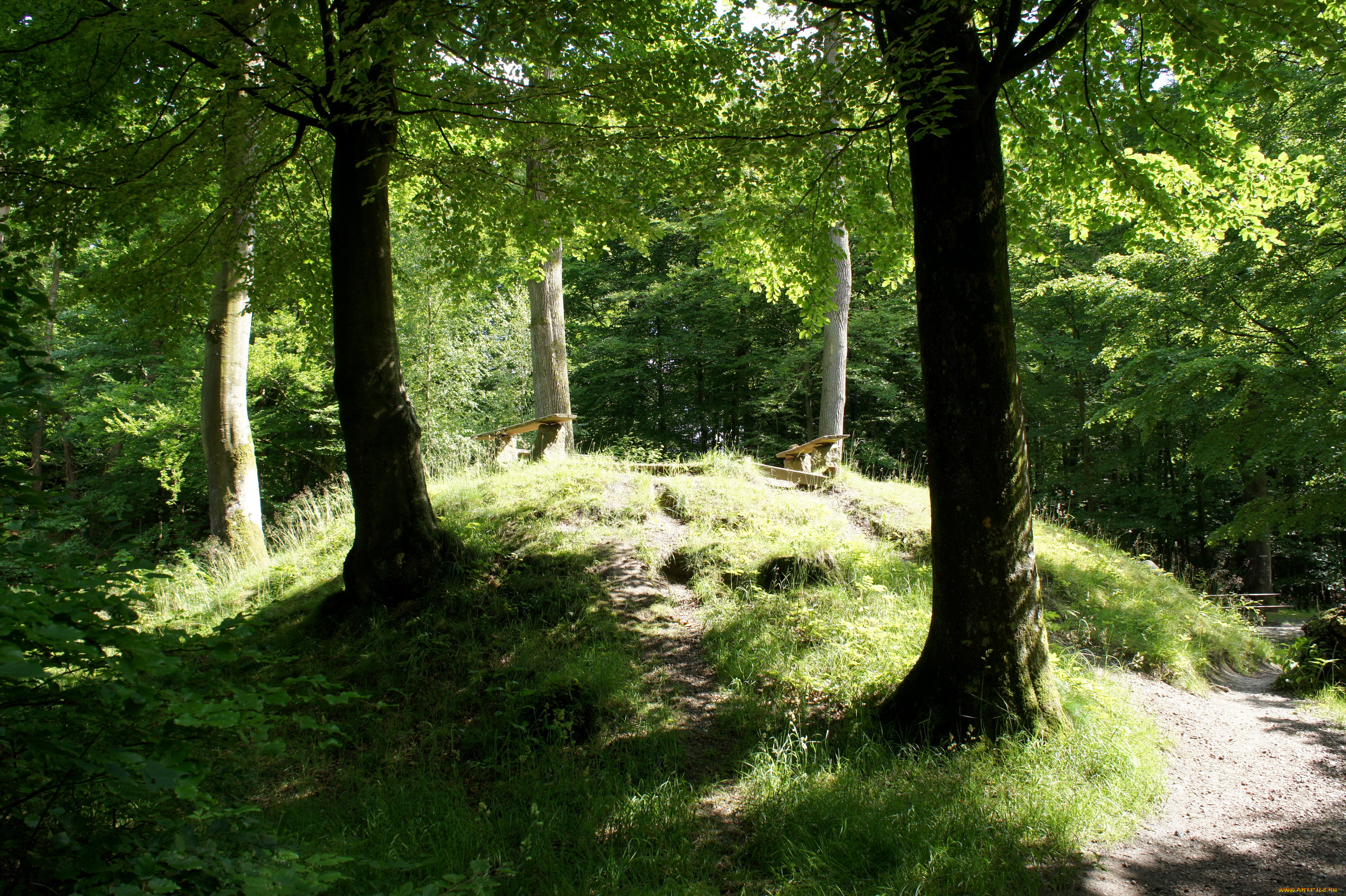 Nederskov лес Дания