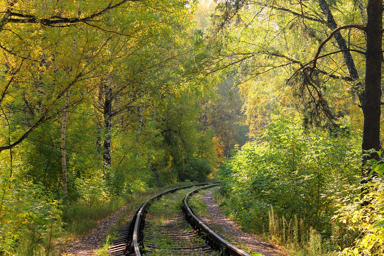Старая железная дорога в лесу