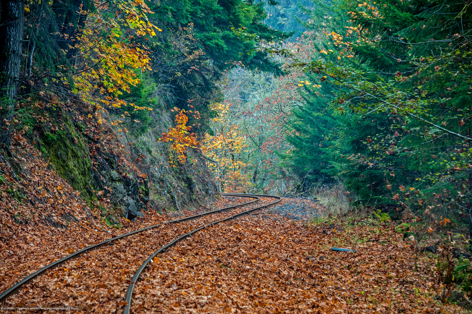 Железная дорога осень