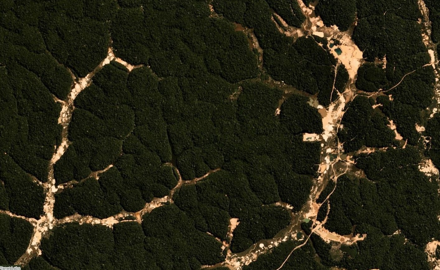 Вырубка лесов вид из космоса