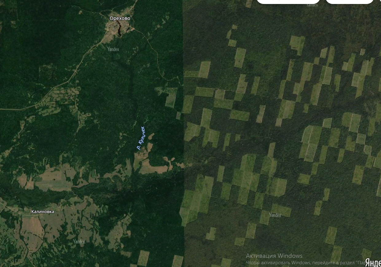 Вырубка лесов Сибирь снимок со спутника
