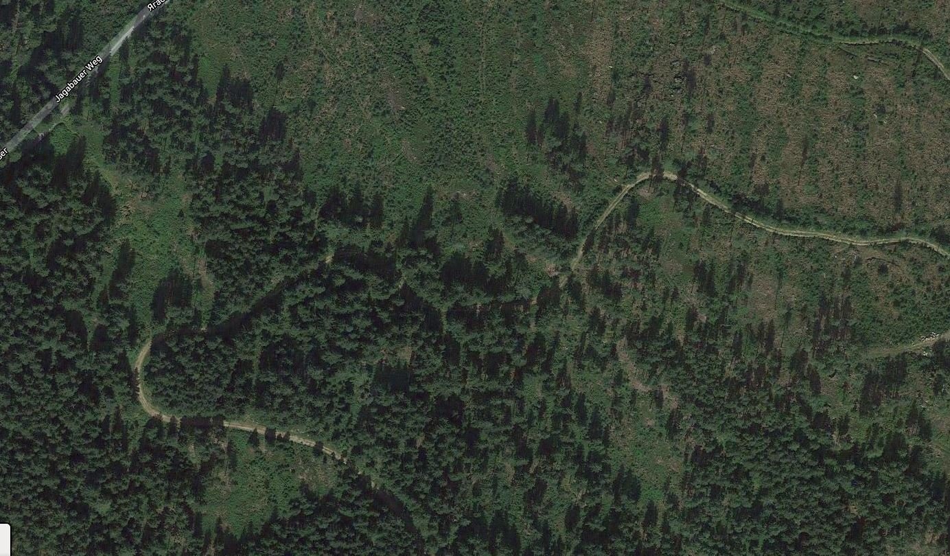 Вырубленные леса Кировской области со спутника
