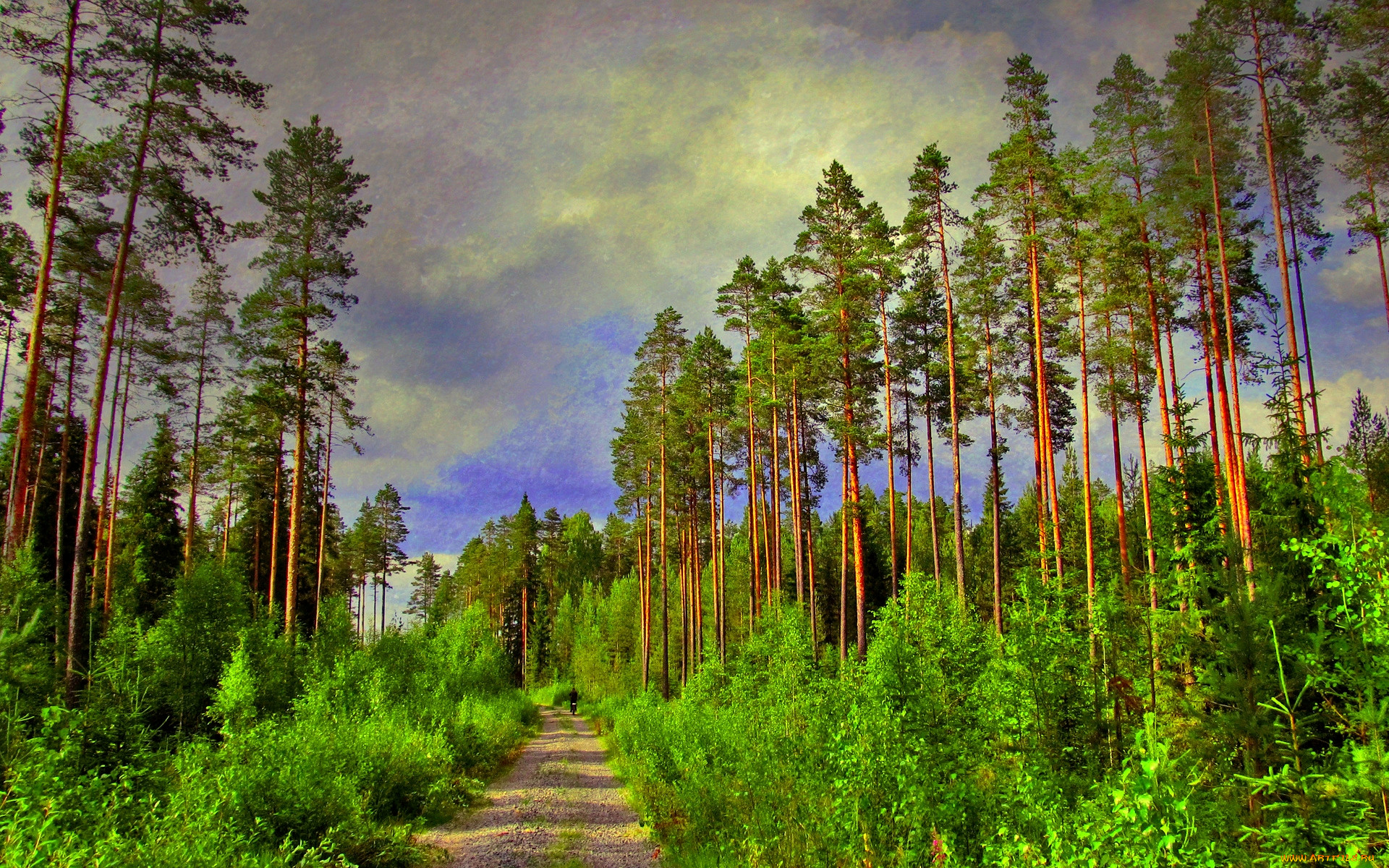 Елово Сосновый лес