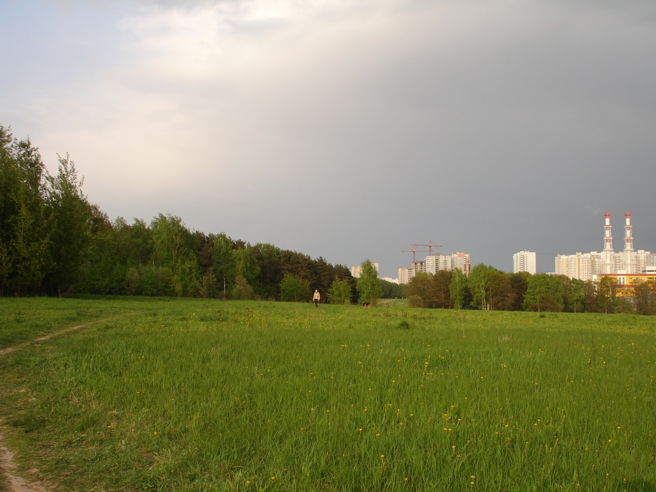 Москва Алешкинский лес