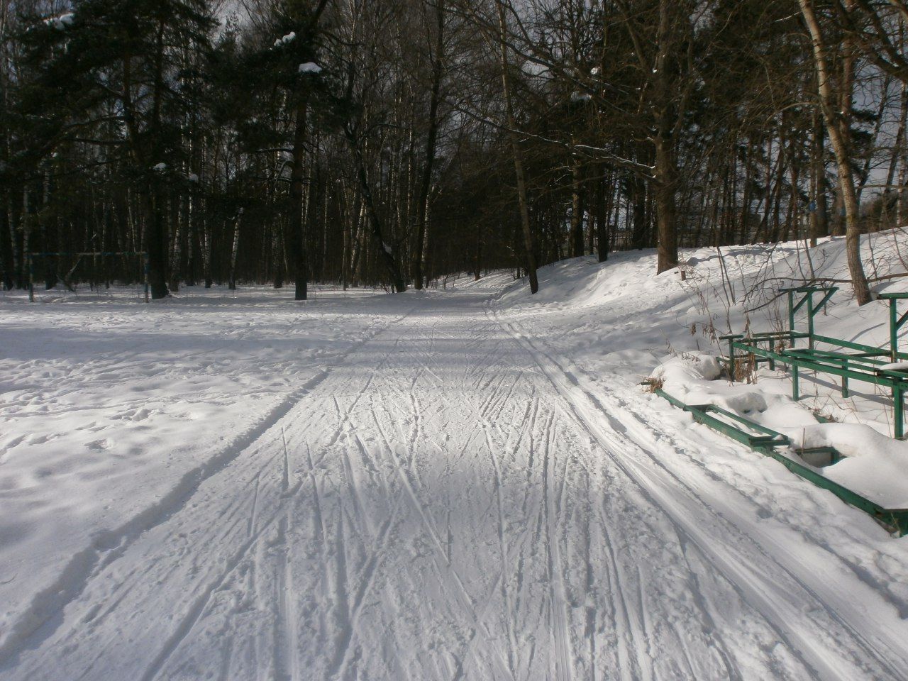 Алешкинский лес лыжная трасса