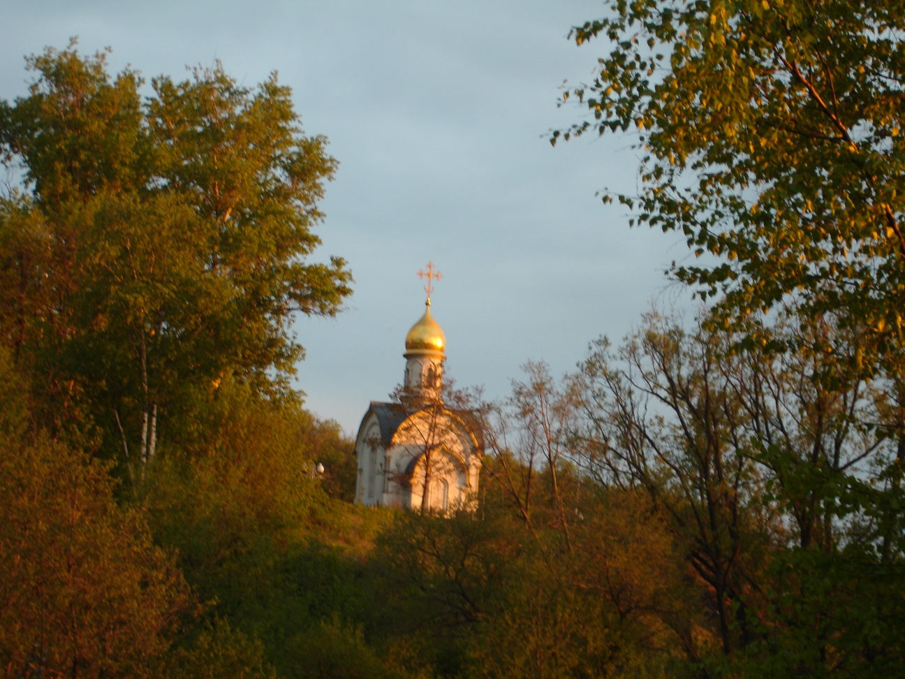 Алешкинский парк Тушино