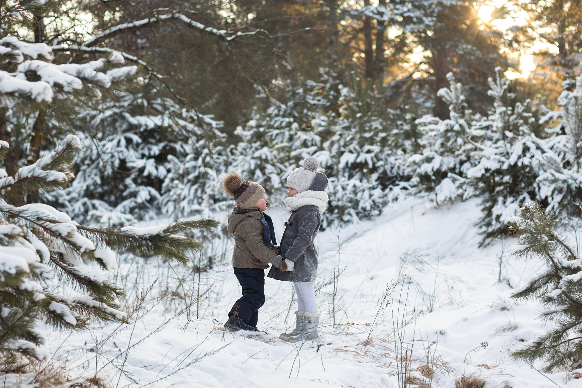Лес зимой для детей