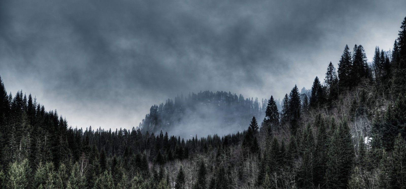 Скандинавский туманный лес