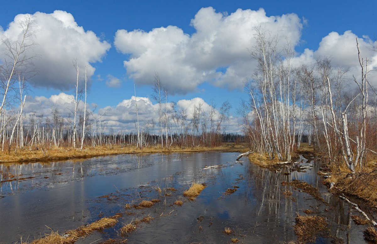 река в половодье