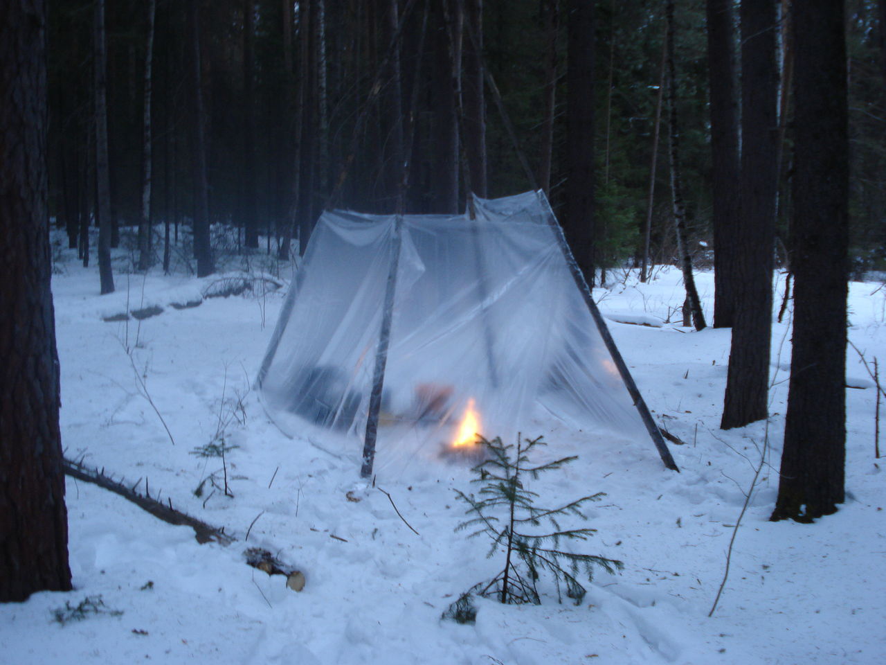 Ночевка в лесу без палатки
