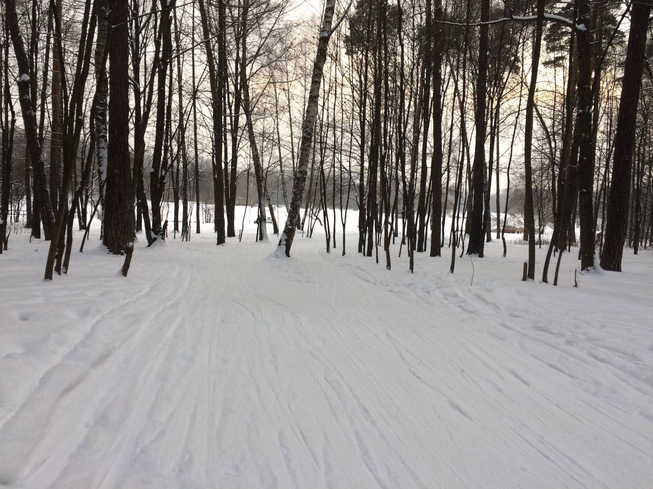 битцевский парк зимой