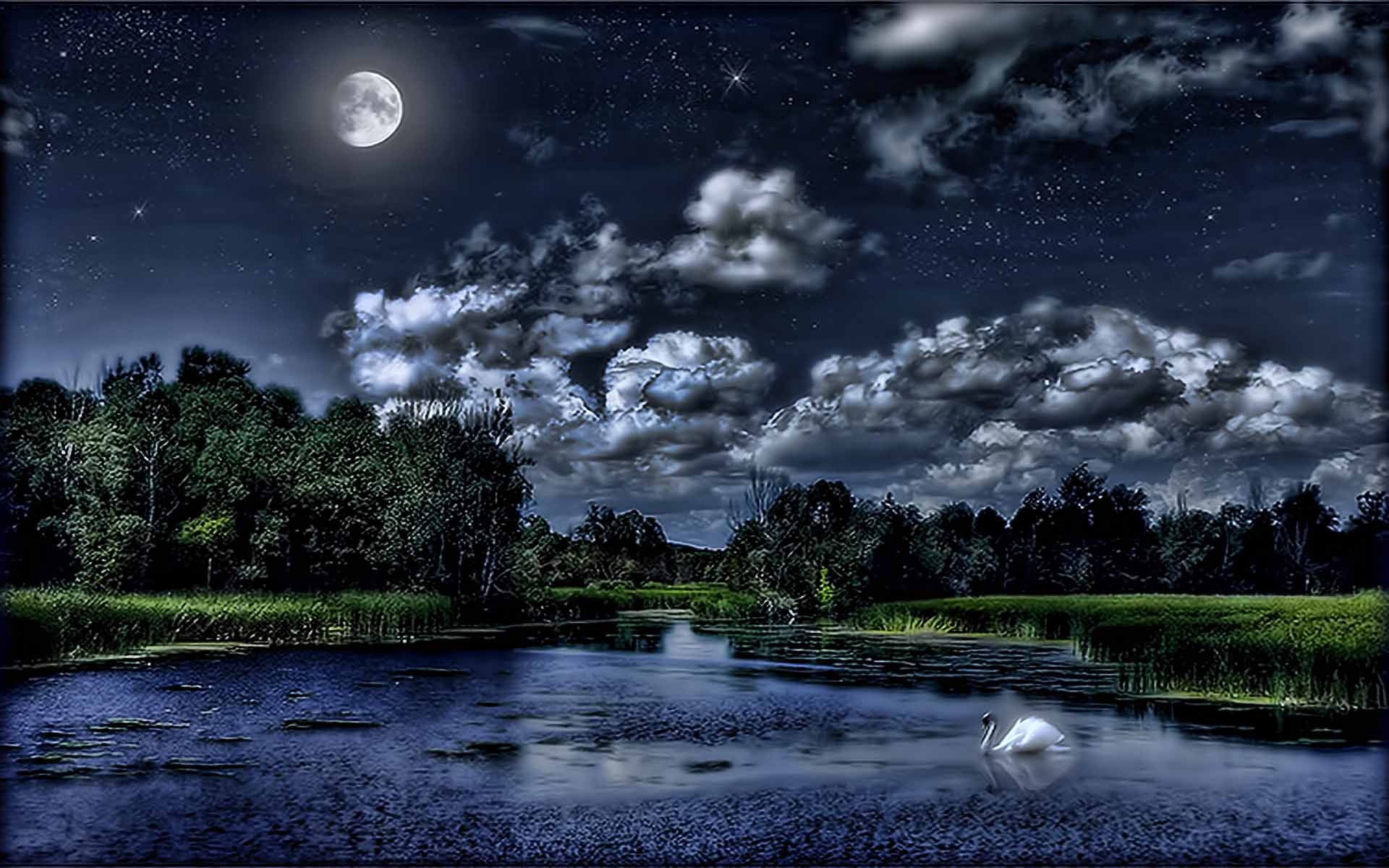 летняя ночь картинки красивые необычные
