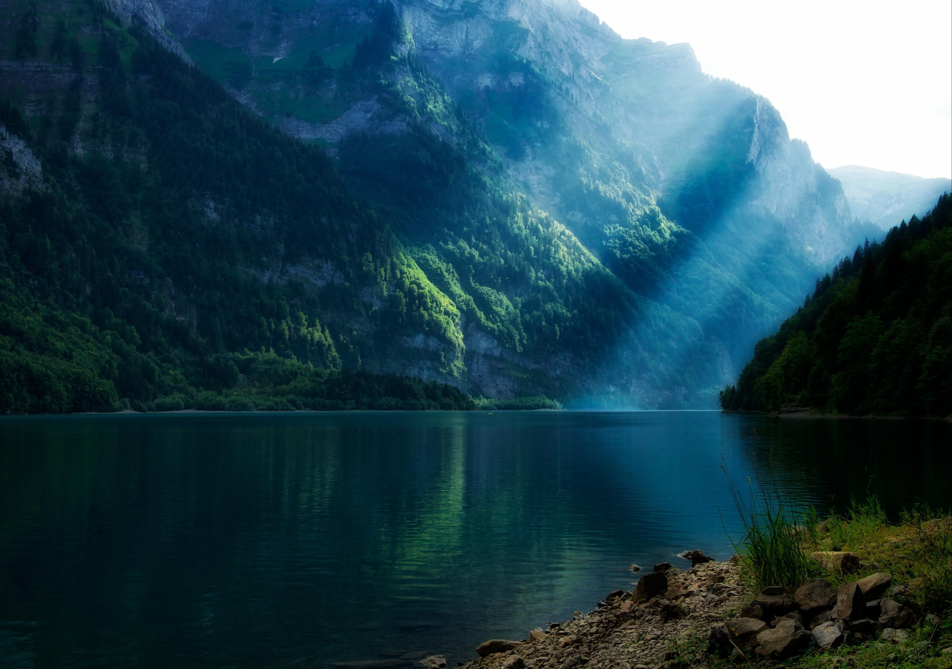 Швейцария горы озеро лес