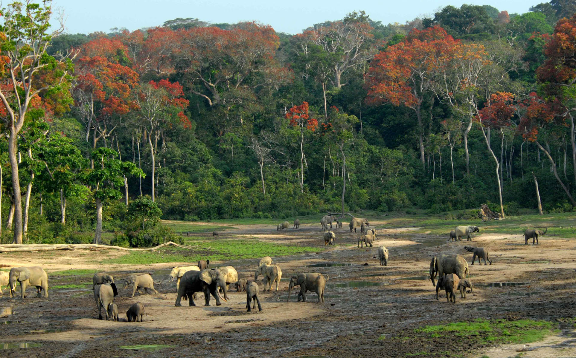 Национальный парк Баминги Бангоран