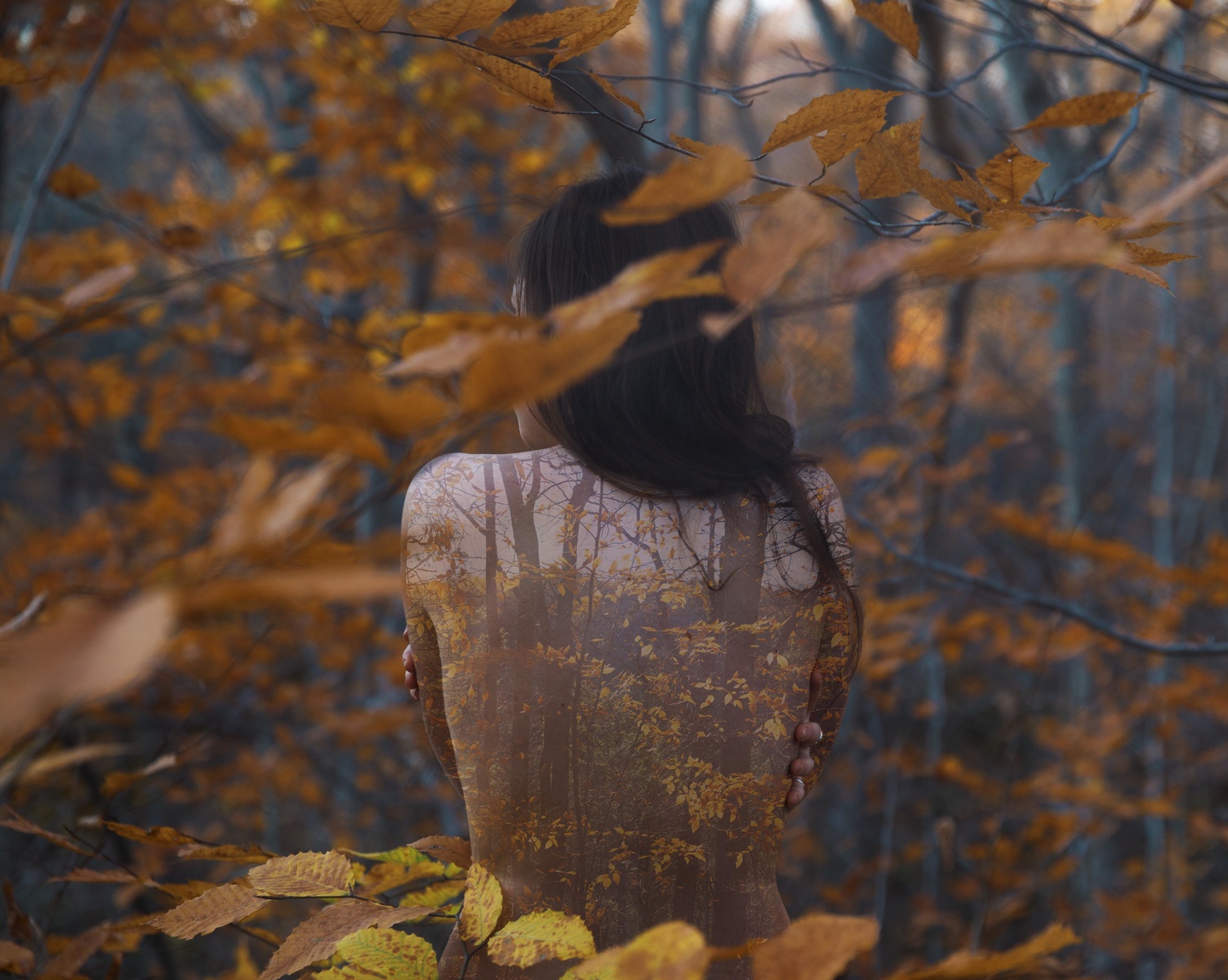 Девушка В Лесу Фото На Аву