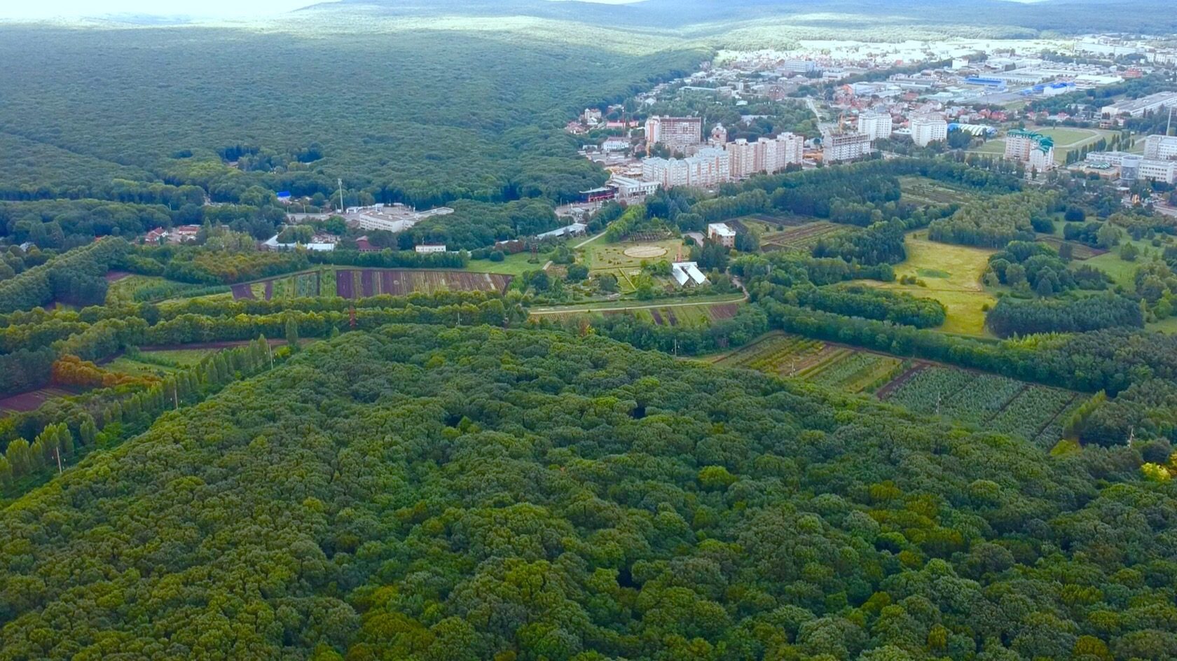 Кругленький лес Ставрополь
