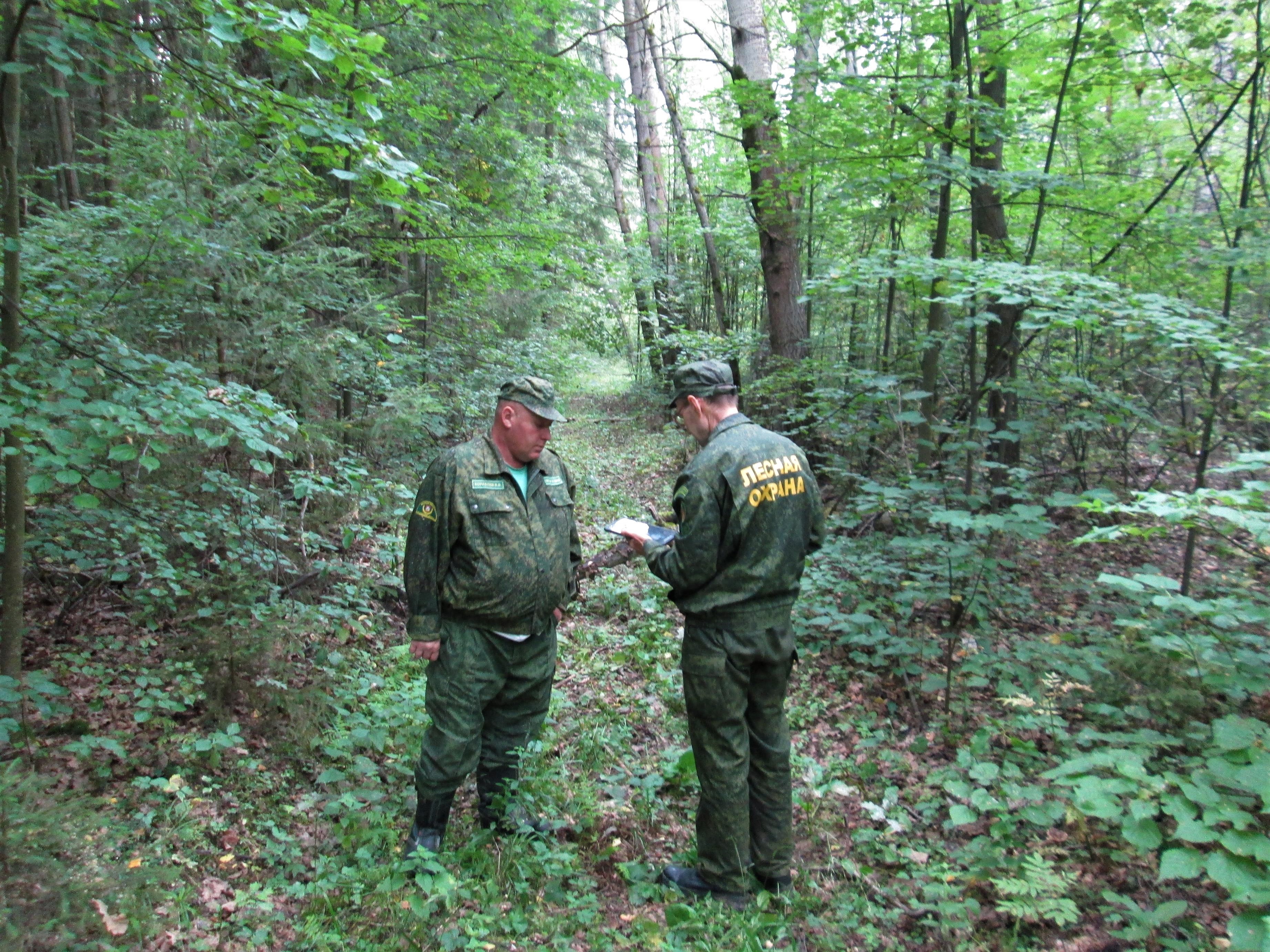 фото лесной охраны