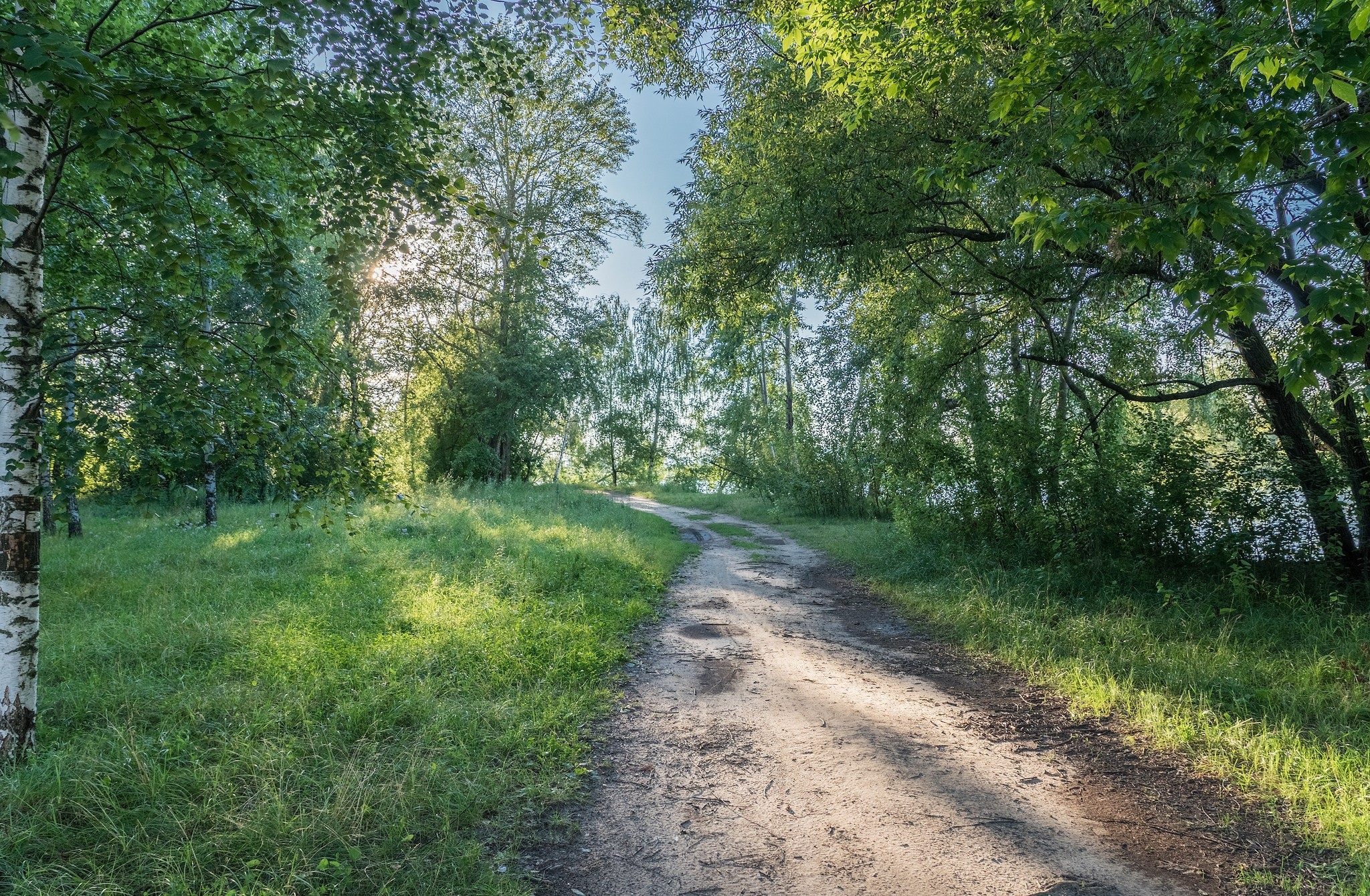 Природа дорога лес Весеннее