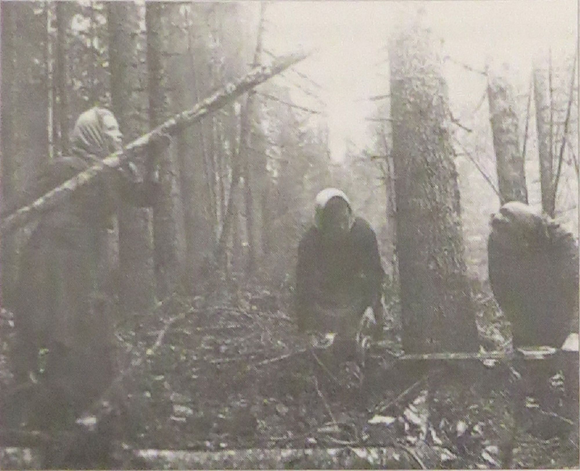 Лесозаготовка в Архангельской области в 30-е годы