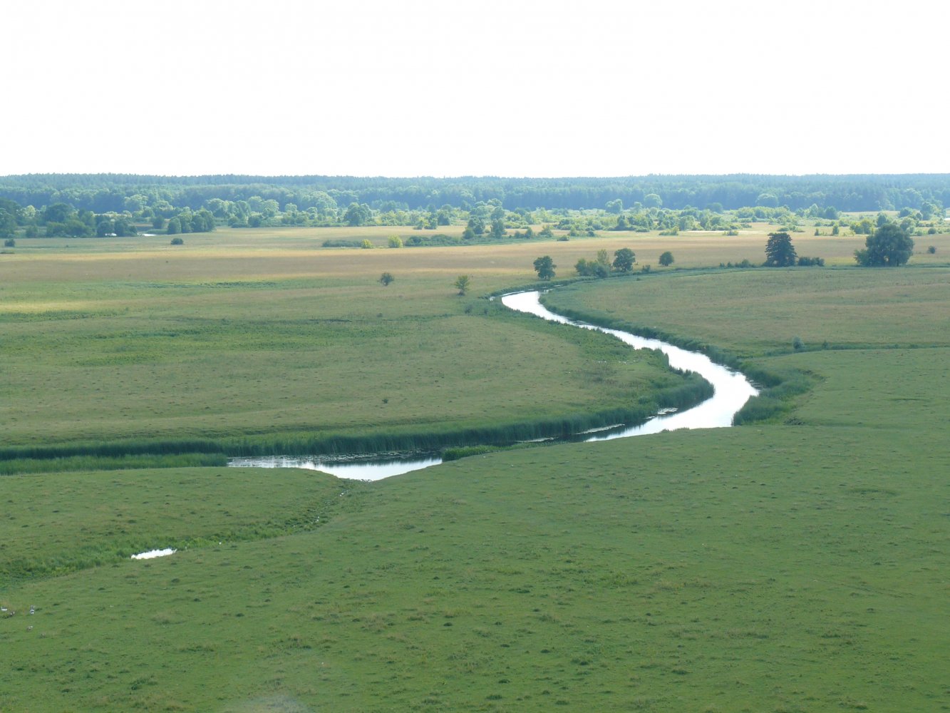 Село Званное Глушковского района