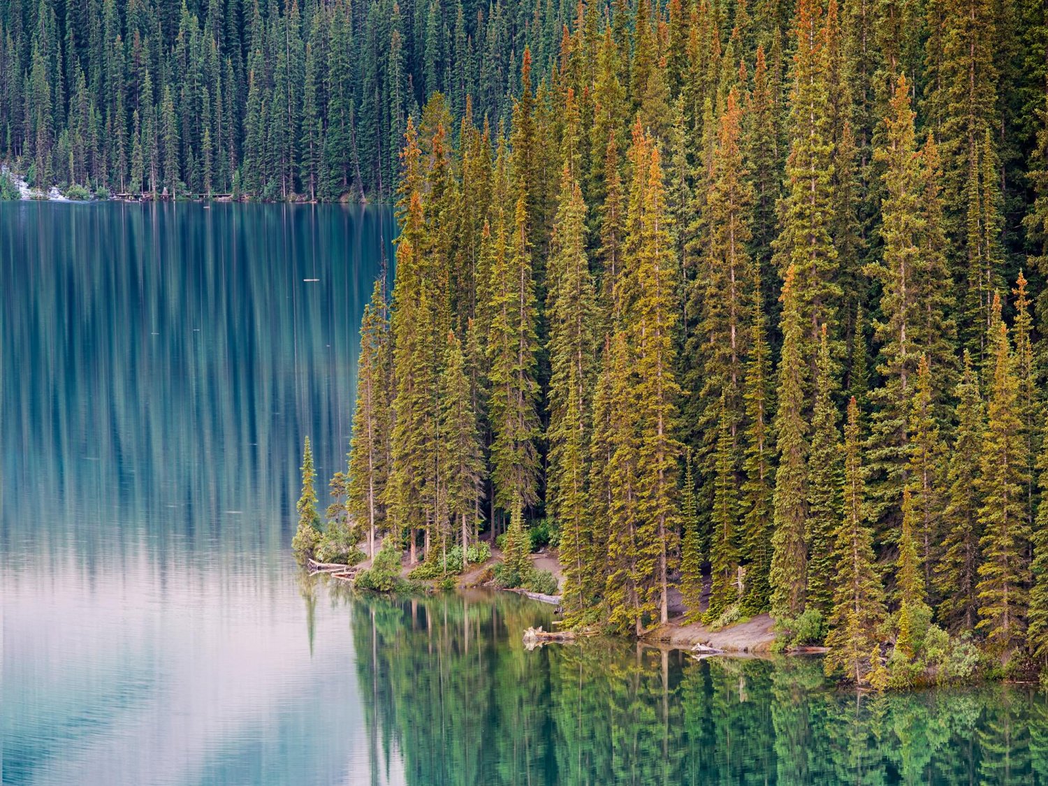 Красоты канадских лесов