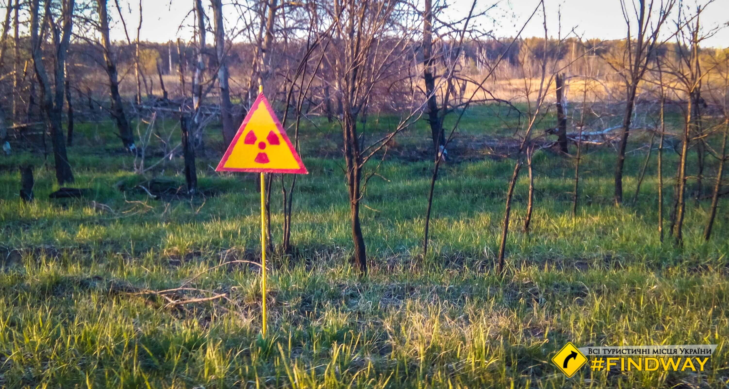 Радиоактивное поле