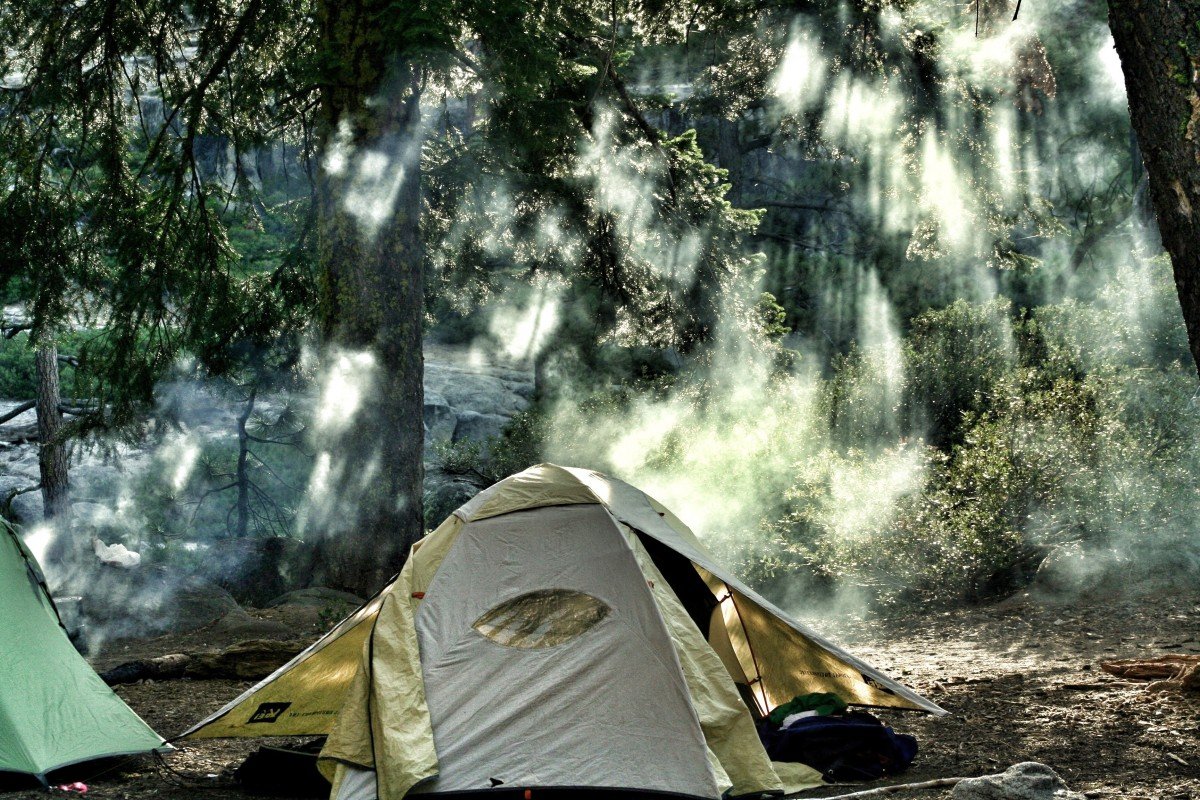 Палаточный лагерь в лесу