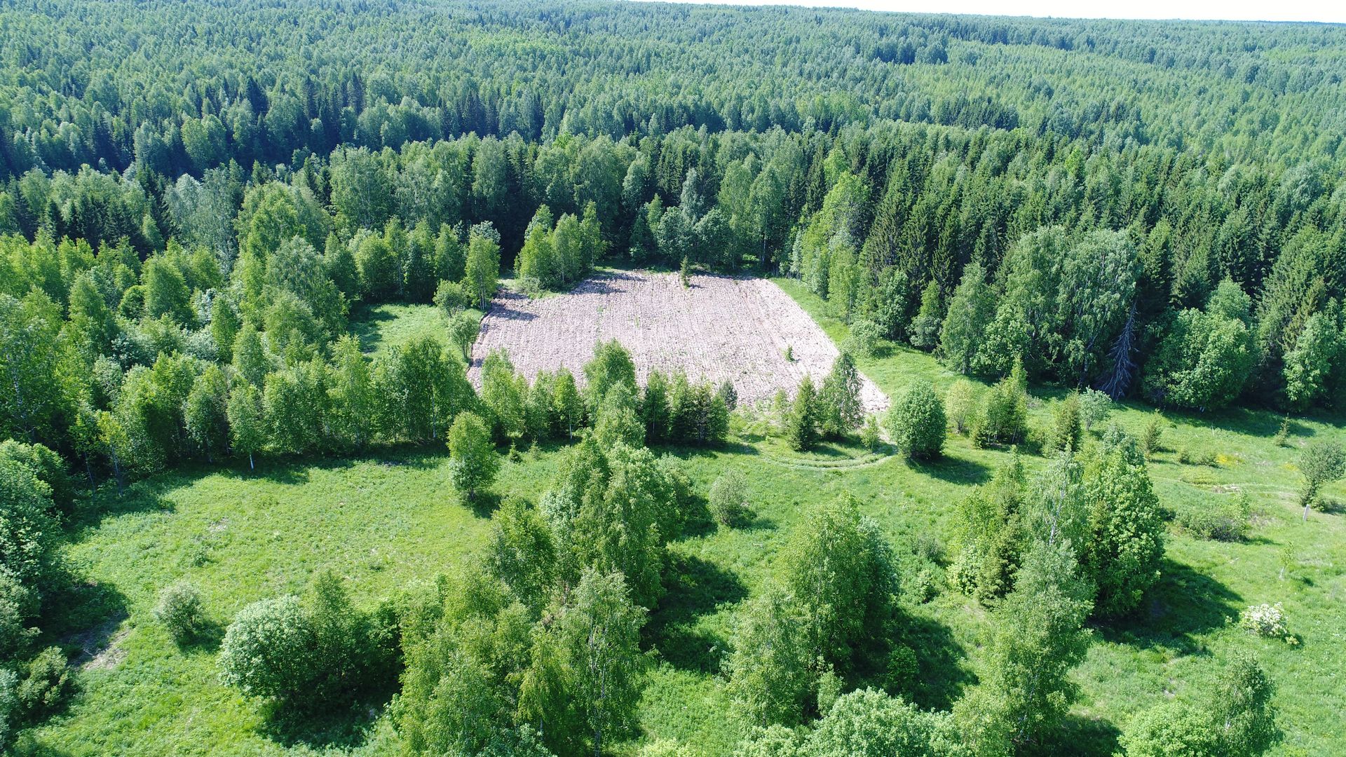 Заповедник Кологривский лес озеро