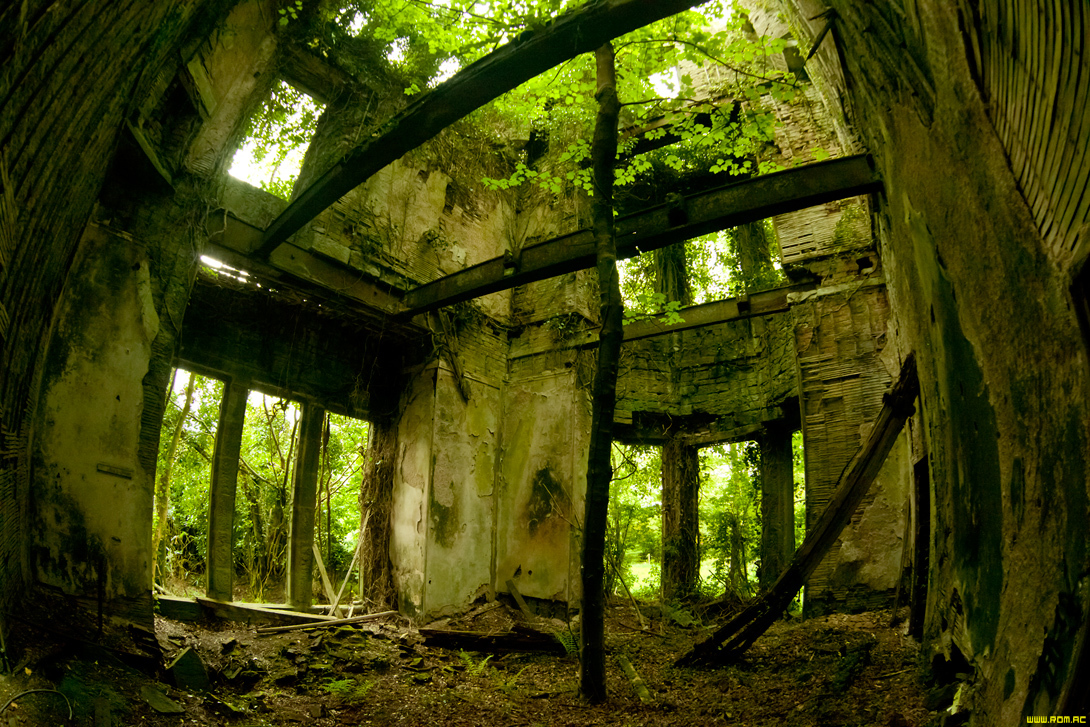 Заброшенное здание в лесу