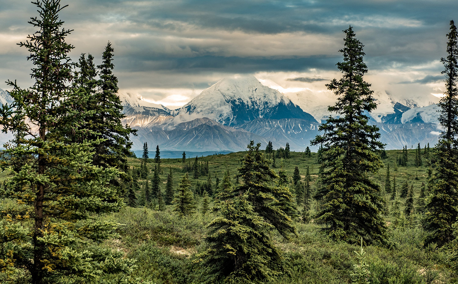 Америку леса Аляска