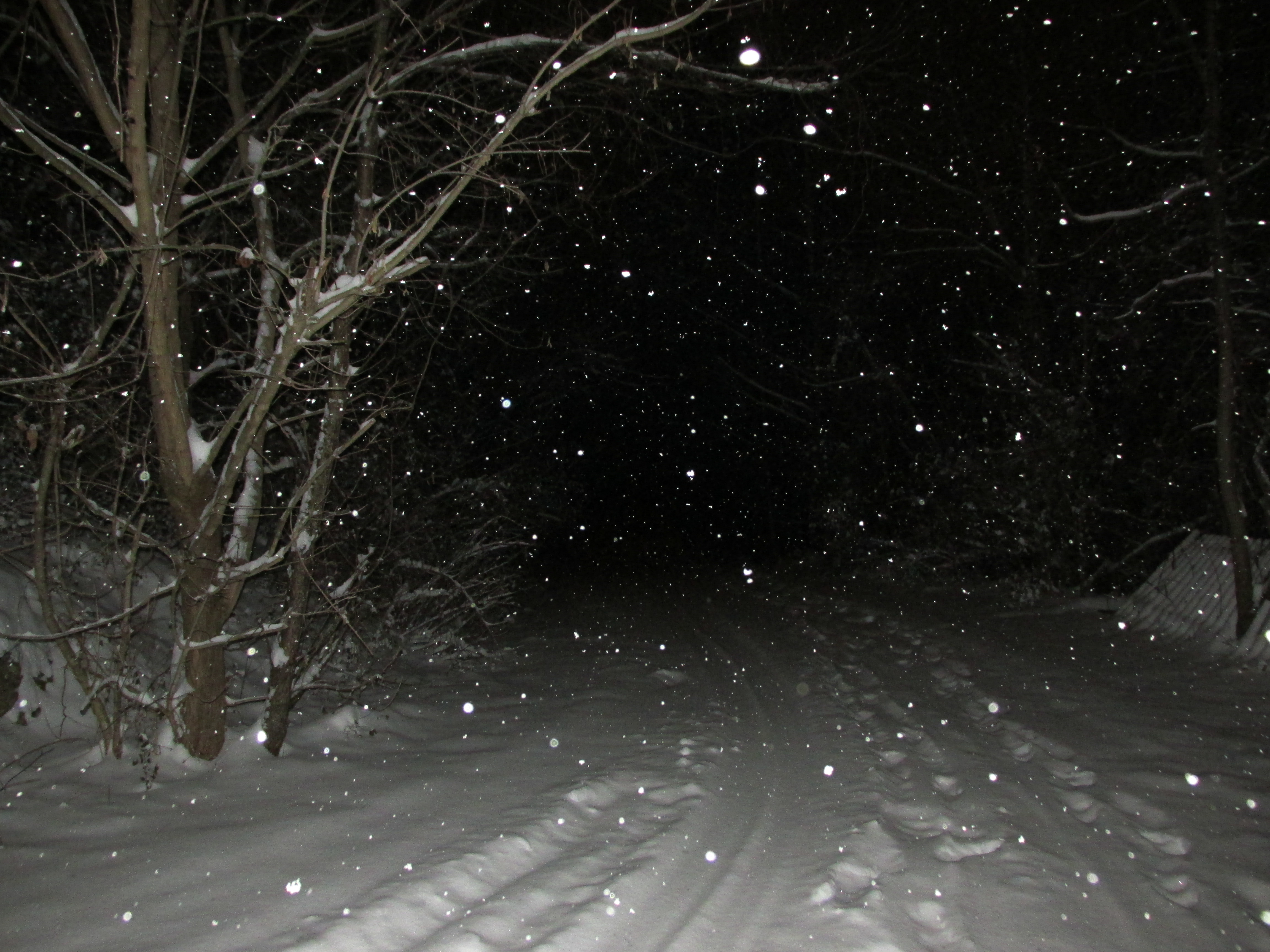 Ночной Снегопад