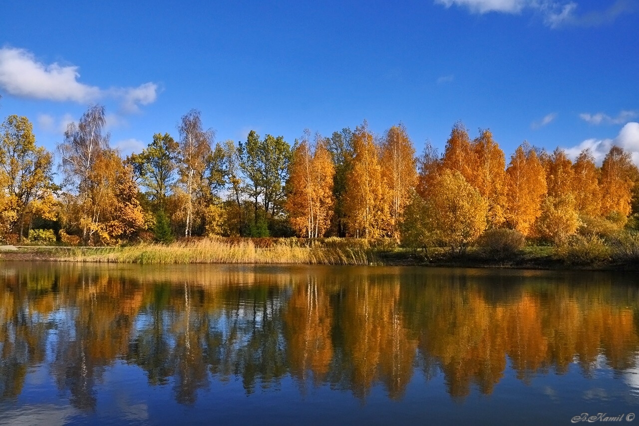 Ульяновск осень Волга