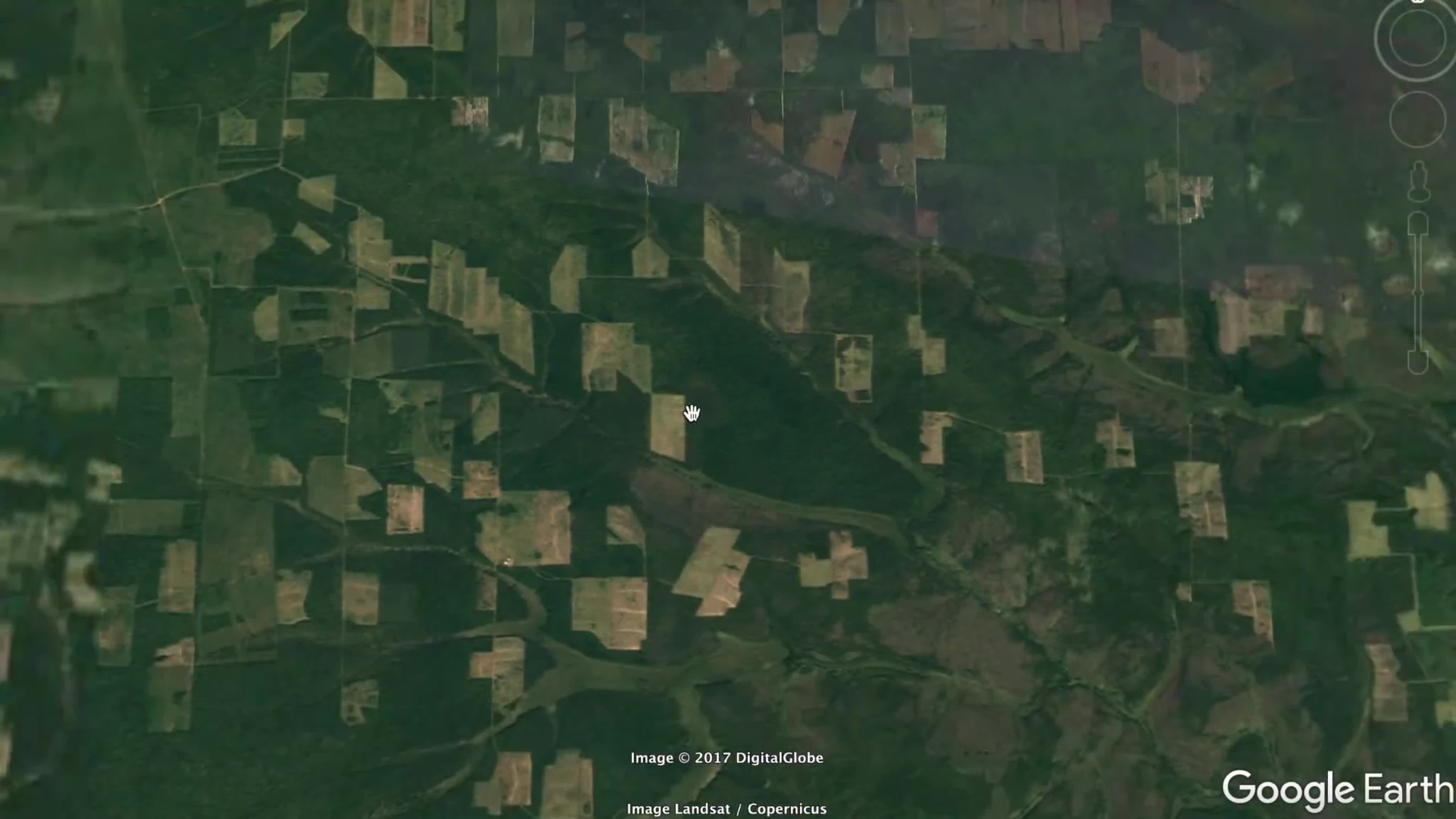 фото вырубленной тайги со спутника