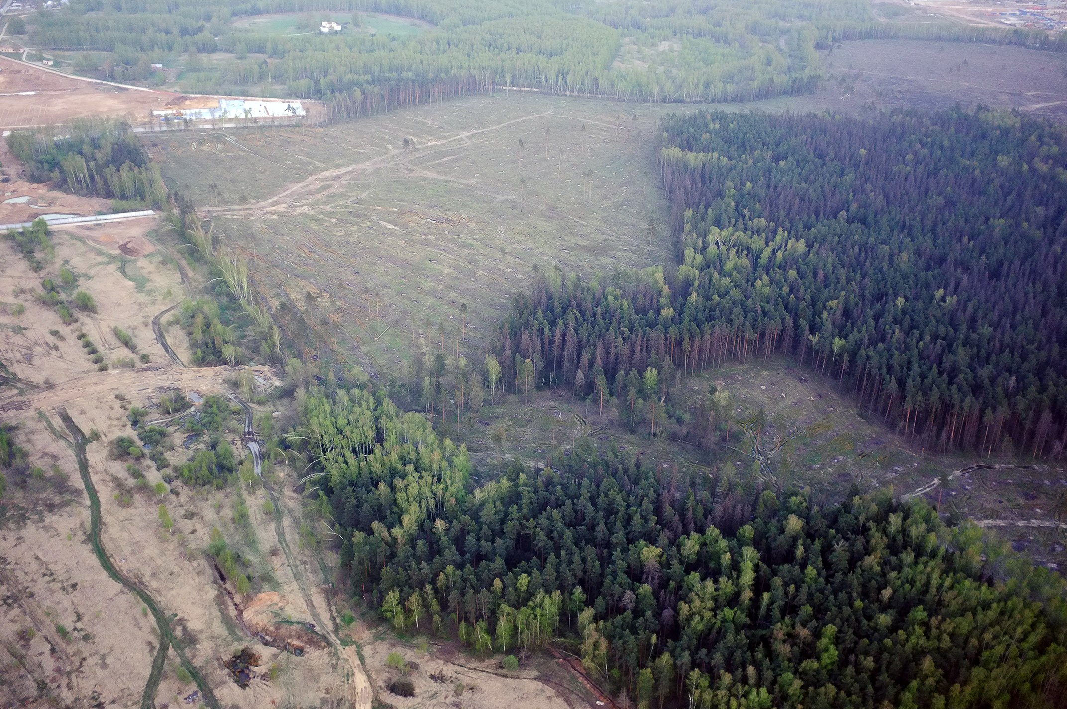 Вырубка леса в тайге