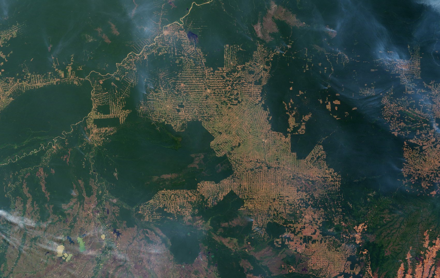 фото вырубленной тайги со спутника