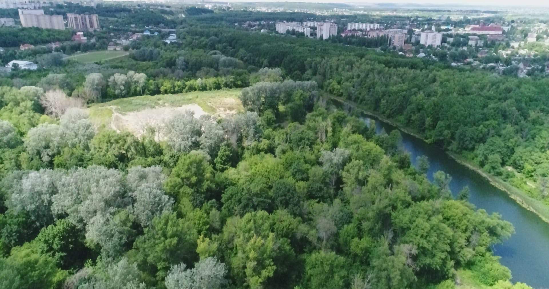 Четыре леса города Курска