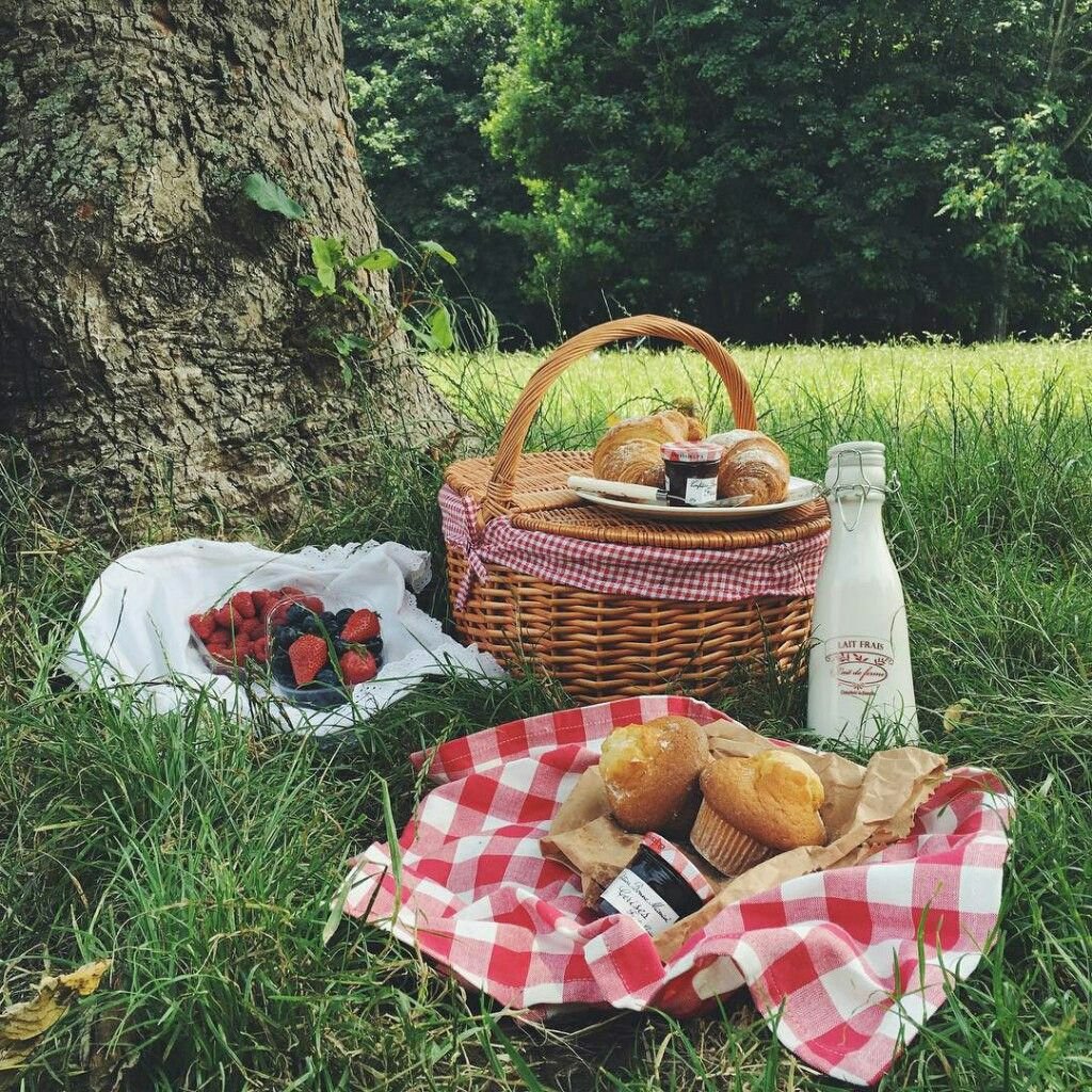 Pretty picnic with raven bays