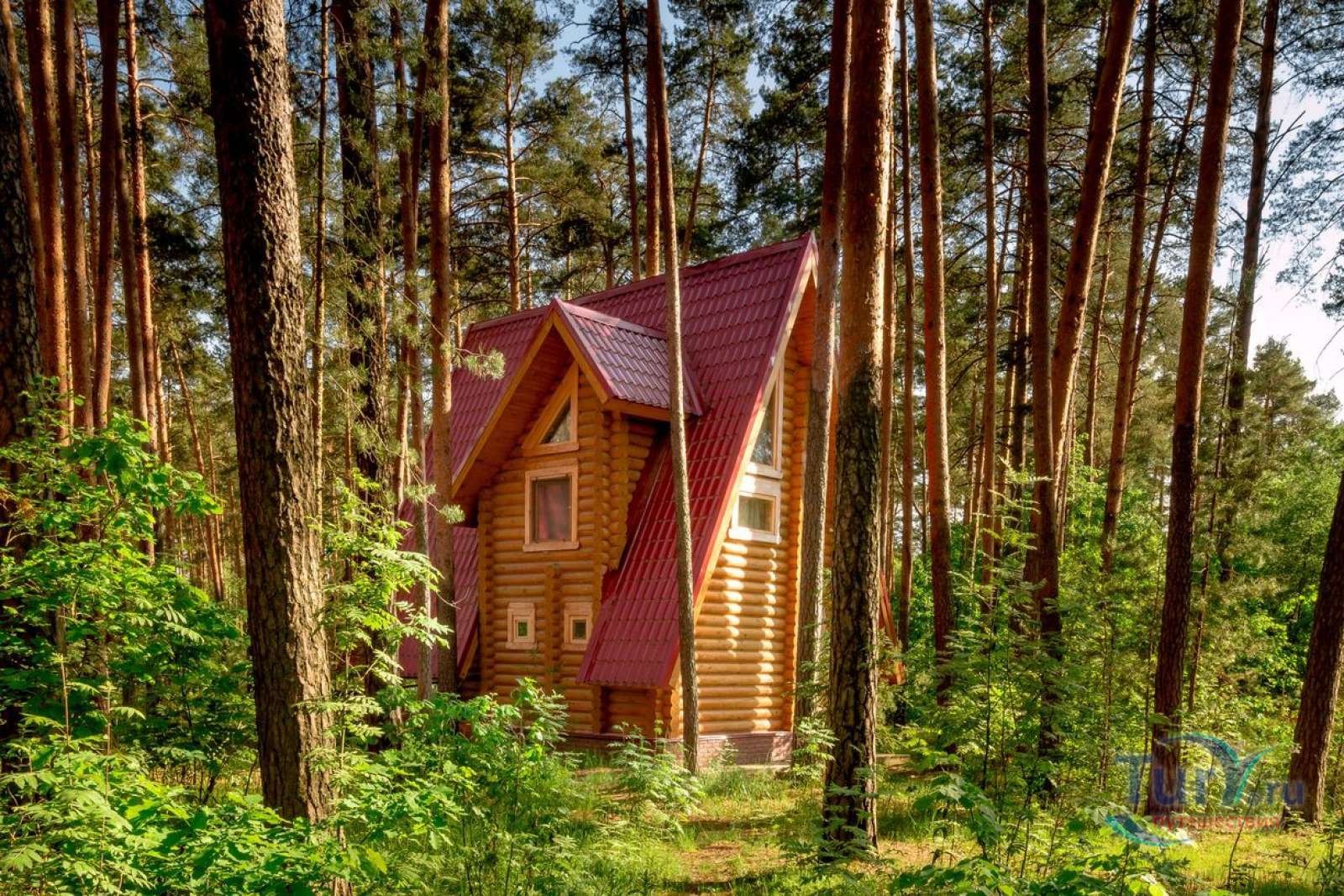 дома отдыха в лесу