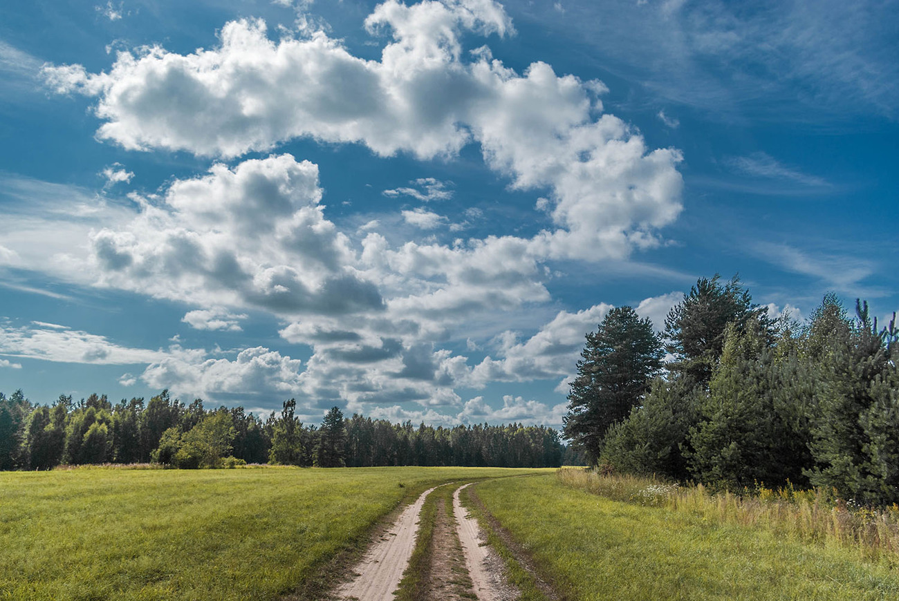 Проселочная дорога Россия