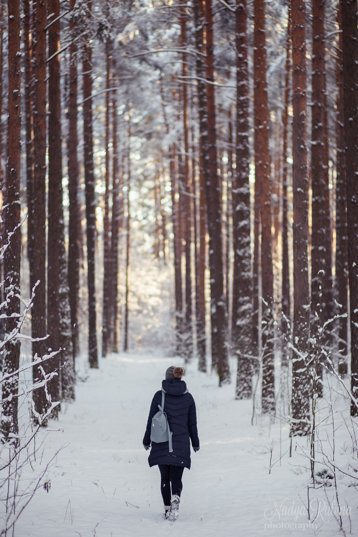 Прогулка в зимнем лесу