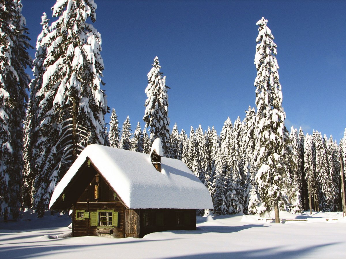 Дом Зимой В Лесу