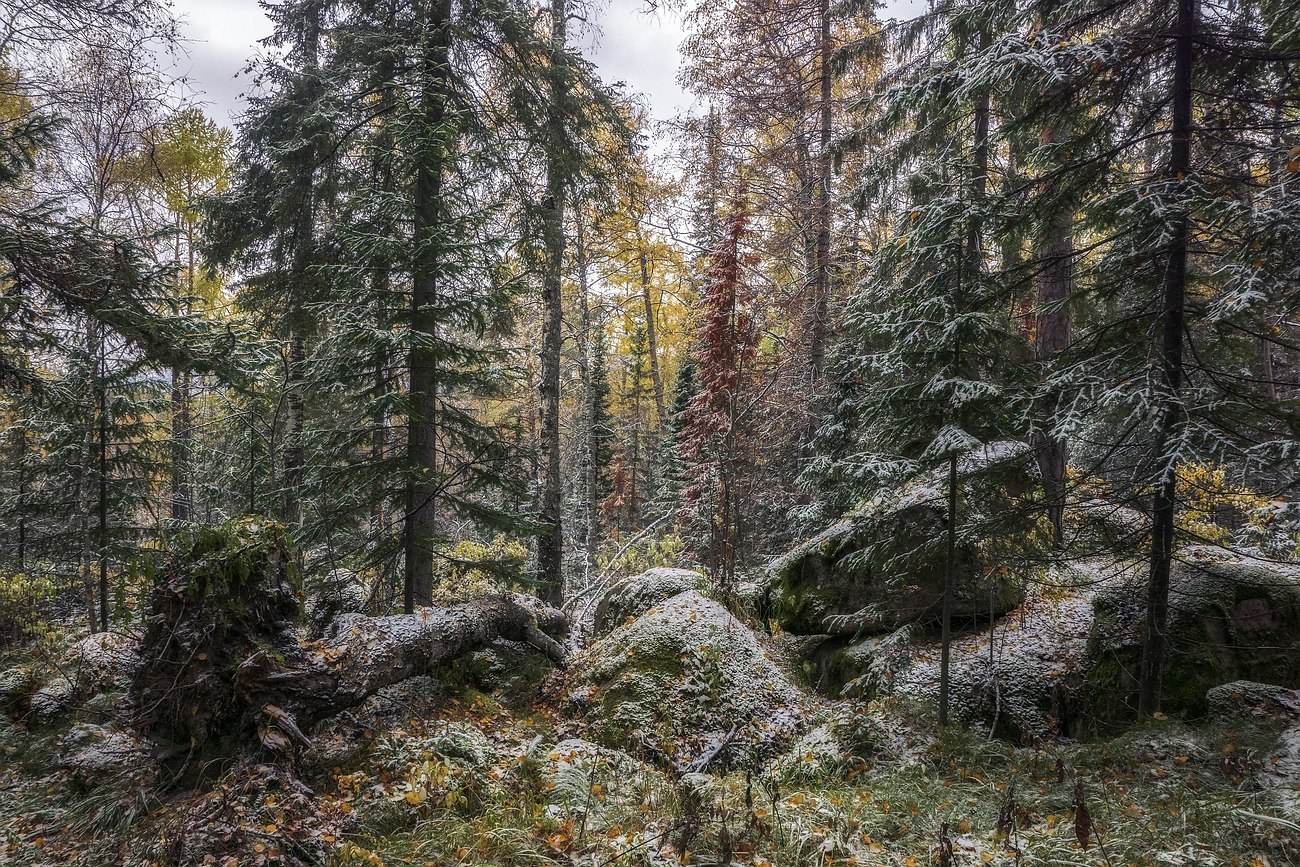 Столбы Красноярск заколдованный лес