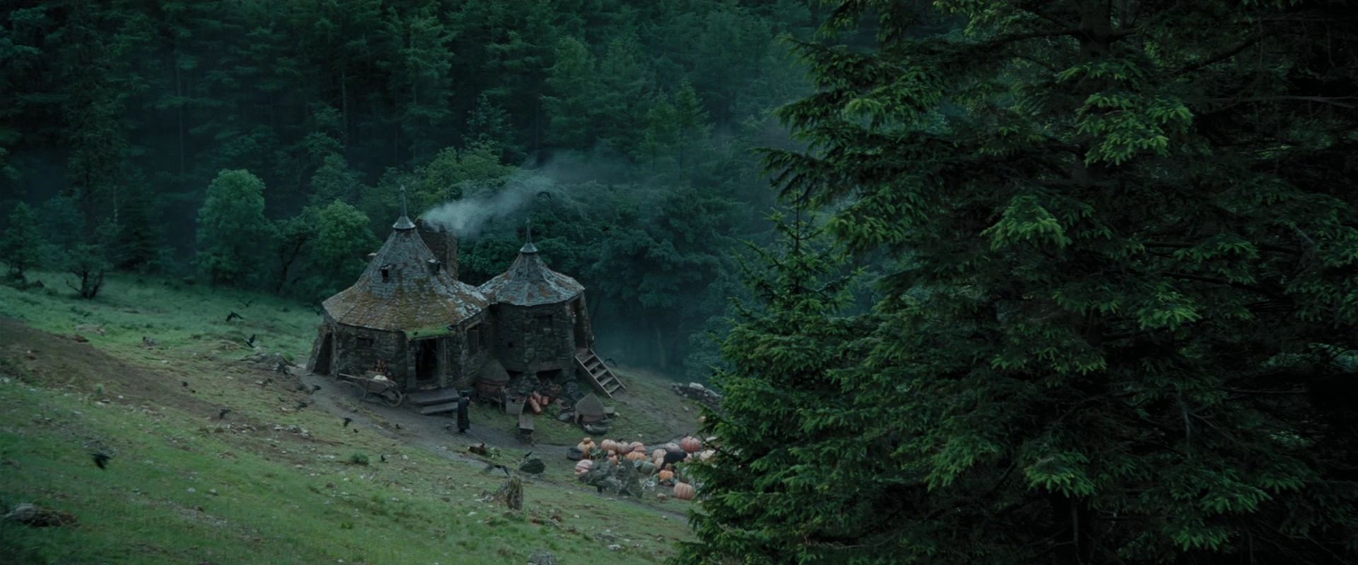 Дом Хагрида из Гарри Поттера