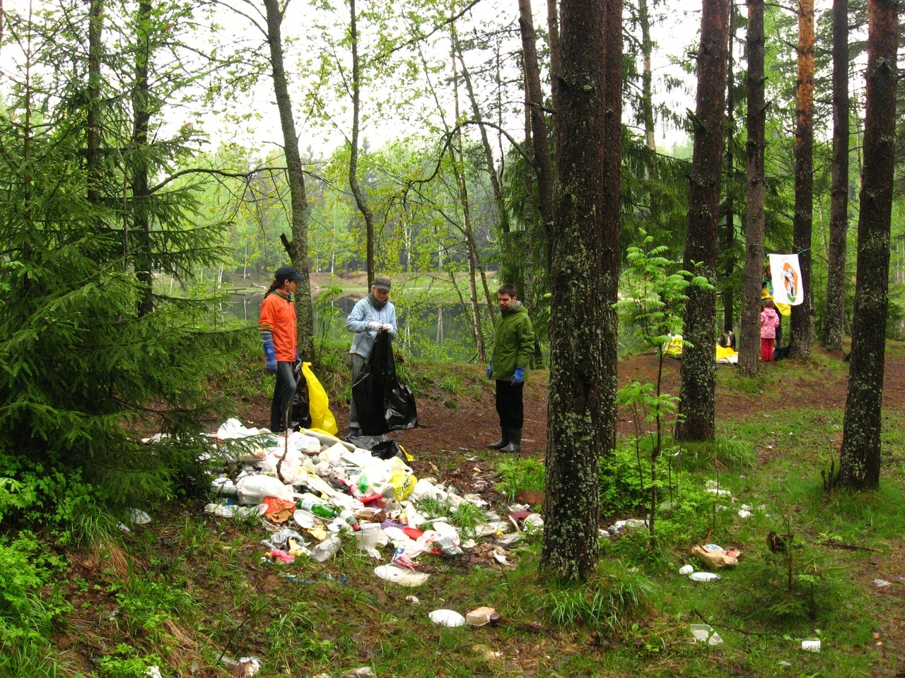 Уборка мусора в лесу