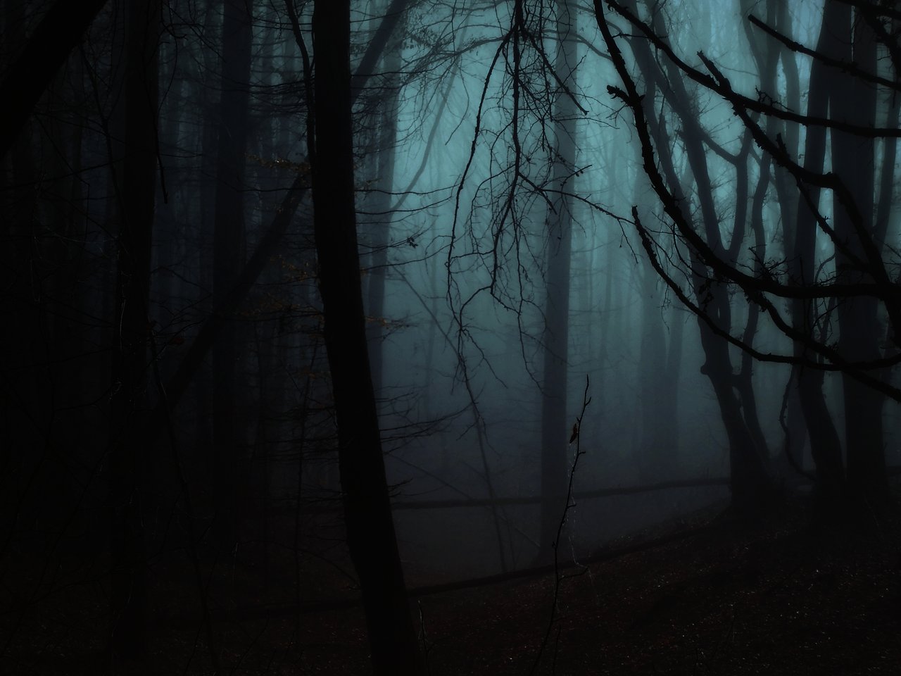 Темный лес с призраками