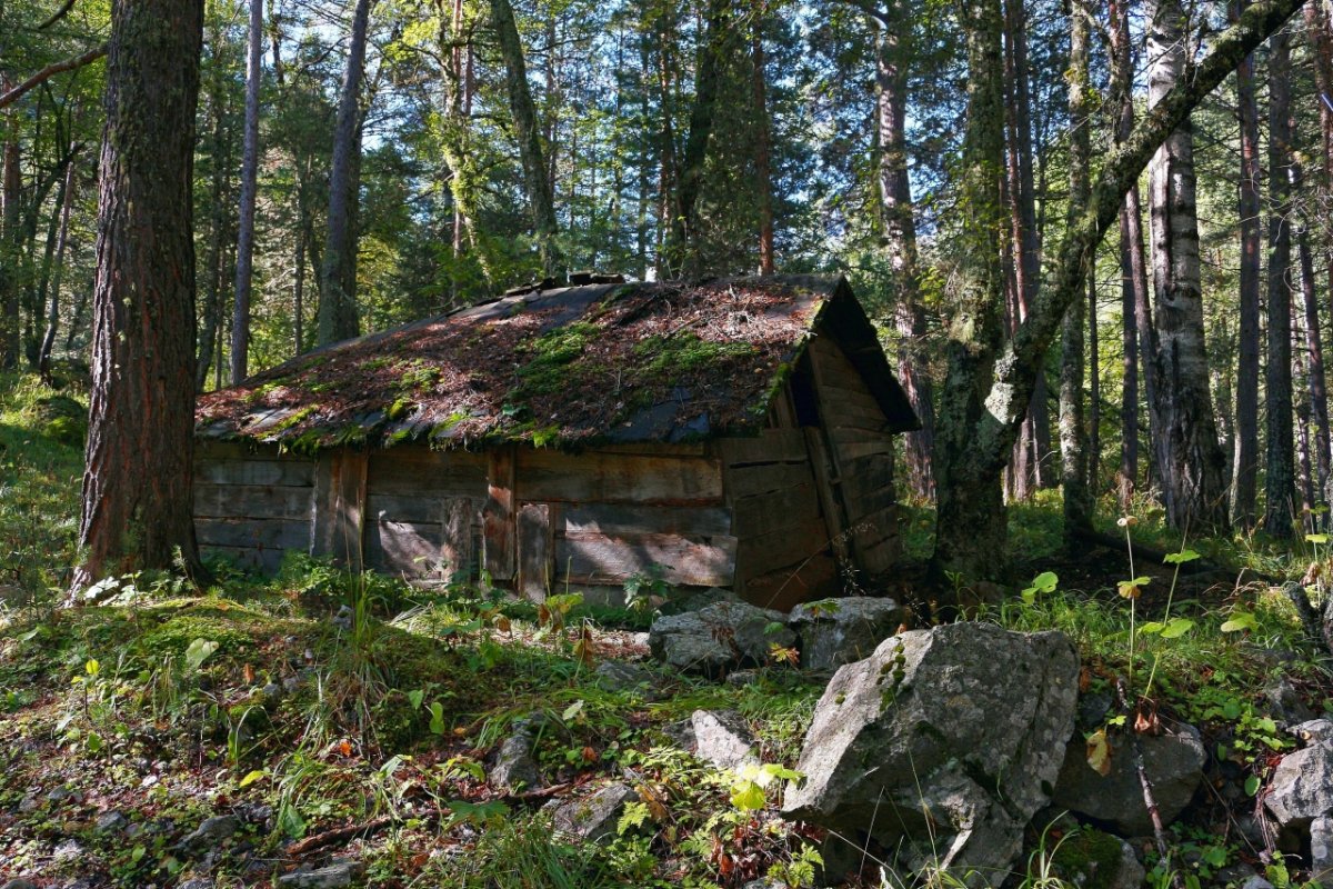 Сторожка в лесу картинки