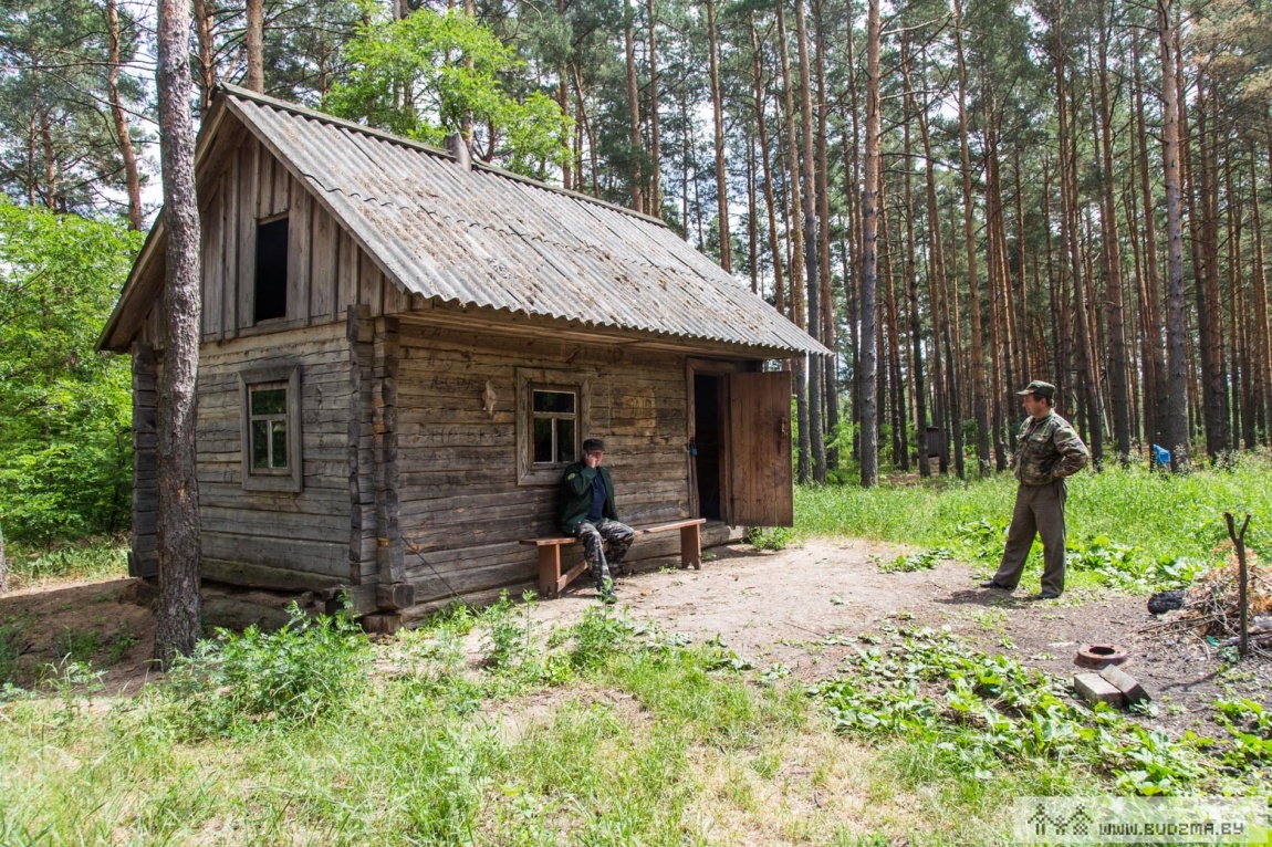 Сторожка в лесу картинки