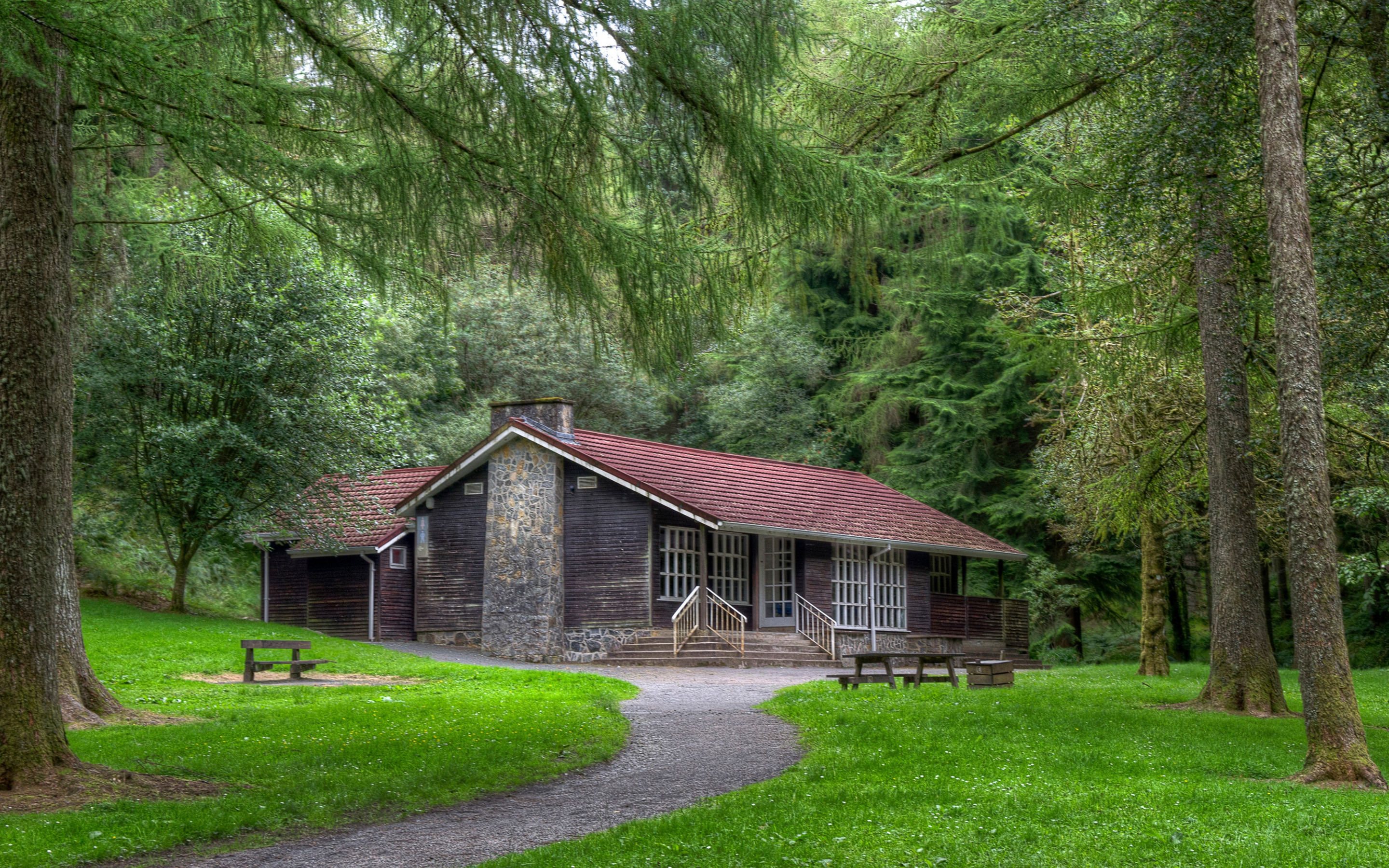 Forest House Хижина в лесу