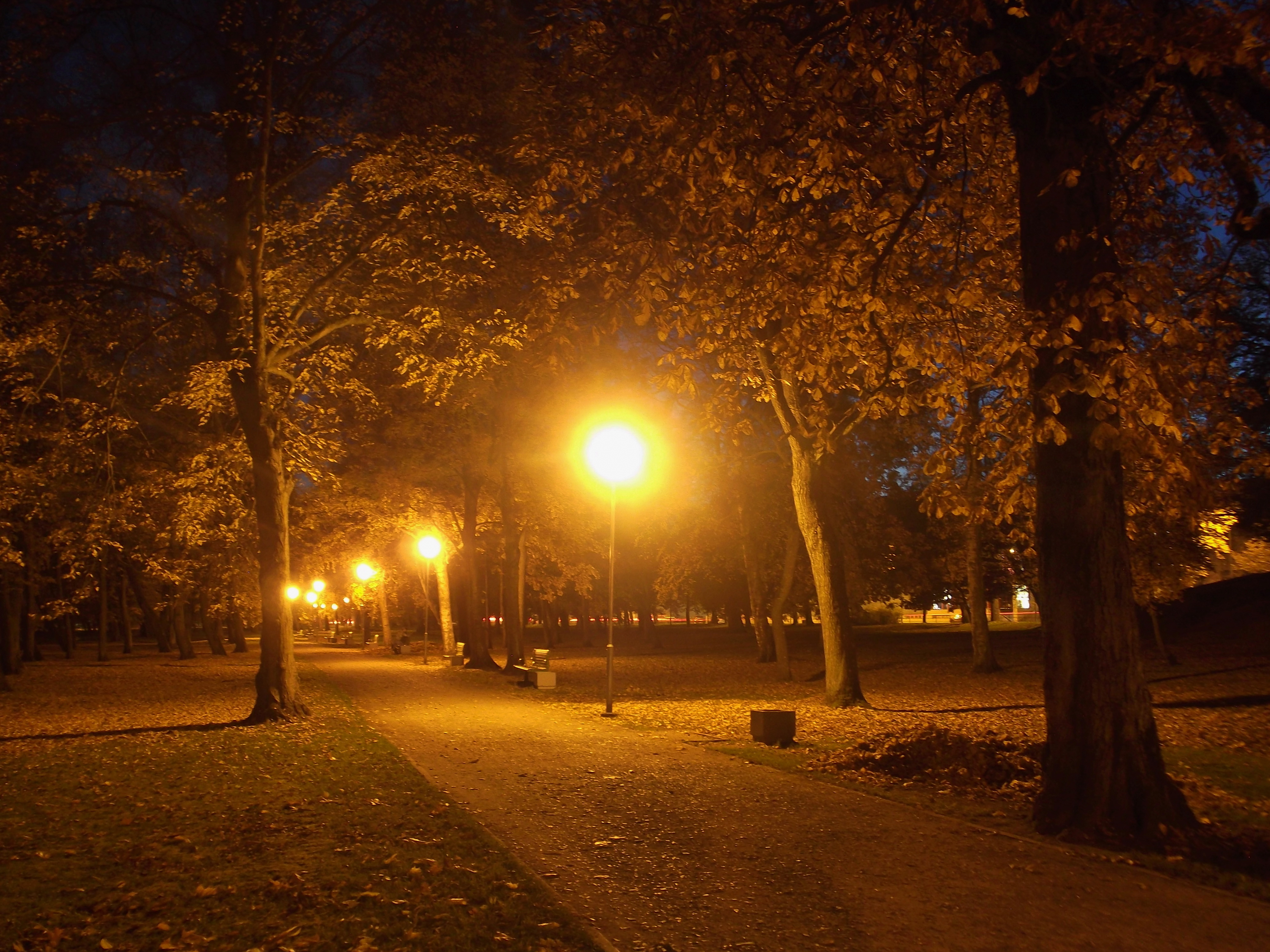 Осенний вечер в городе