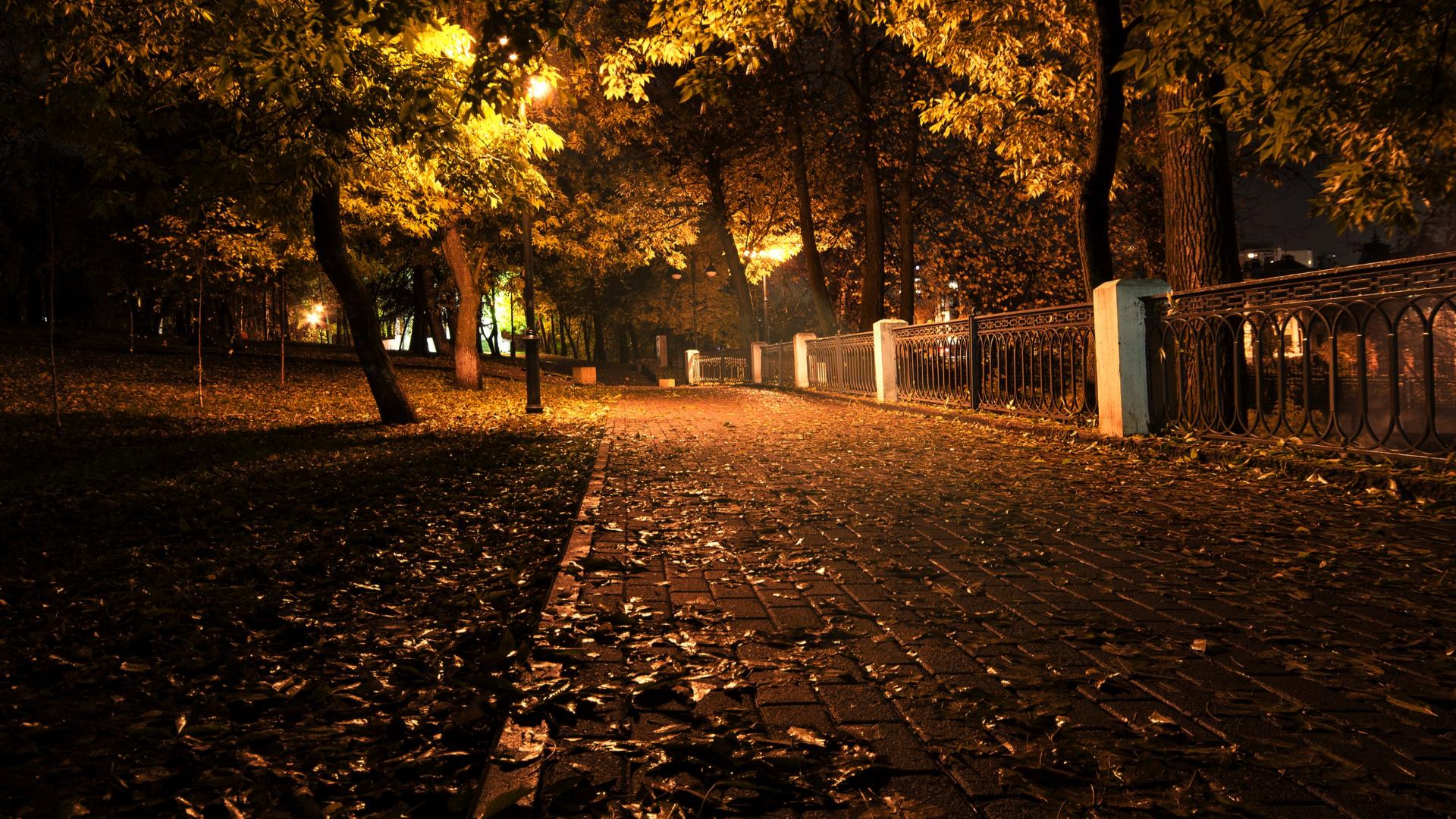 природа ночью сентябрь красивые картинки